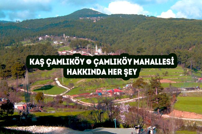 Kaş Çamlıköy Mahallesi -  Çamlıköy Köyü Hakkında Her şey