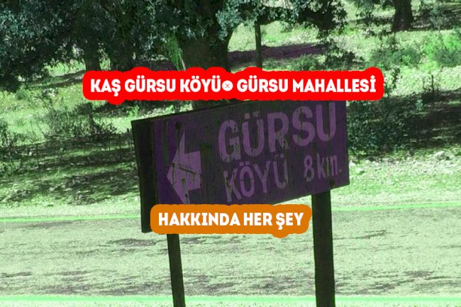 Kaş Gürsu Mahallesi - Gürsu Köyü Hakkında Her şey