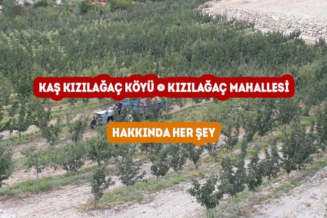 Kaş Kızılağaç Mahallesi - Kızılağaç Köyü Hakkında Her şey