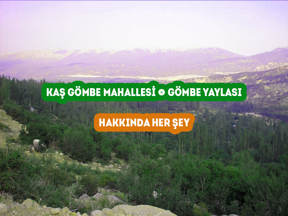 Kaş Gömbe Mahallesi - Gömbe Yaylası - Hakkında Her şey